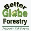 bgf-logo